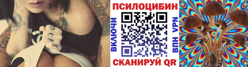 Псилоцибиновые грибы ЛСД  Ахтырский 